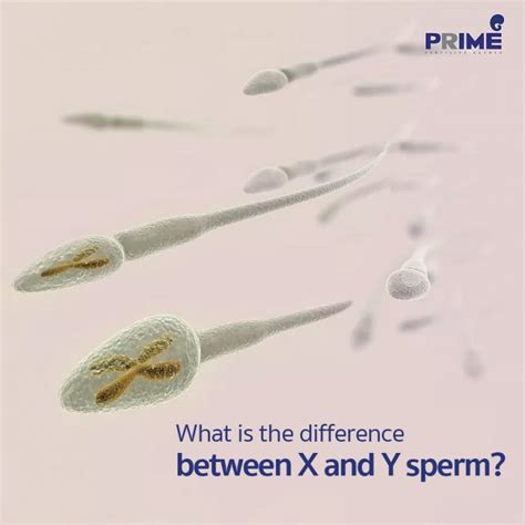 sperm xvideos|sperm videos .